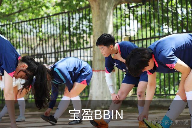 宝盈BBIN公司介绍图片