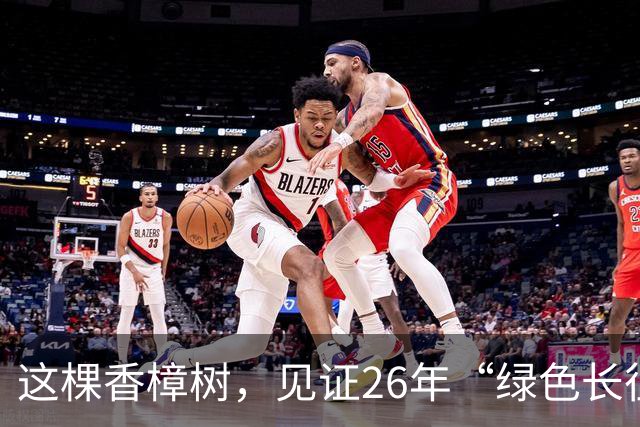 这棵香樟树，见证26年“绿色长征”